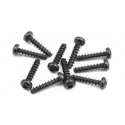 Screw Phillips 2.5X12 (10), X905262