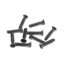 Screw Phillips Fh 2.2X10 (10), X906210