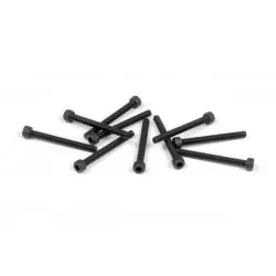 Hex Screw Socket Head Cap M2.5X25 (10), X908275