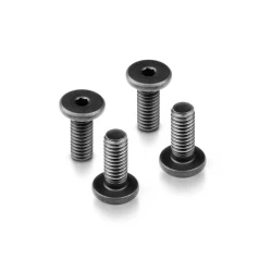 HEX SCREW FLAT HEAD CAP FHS M4x10  (4)